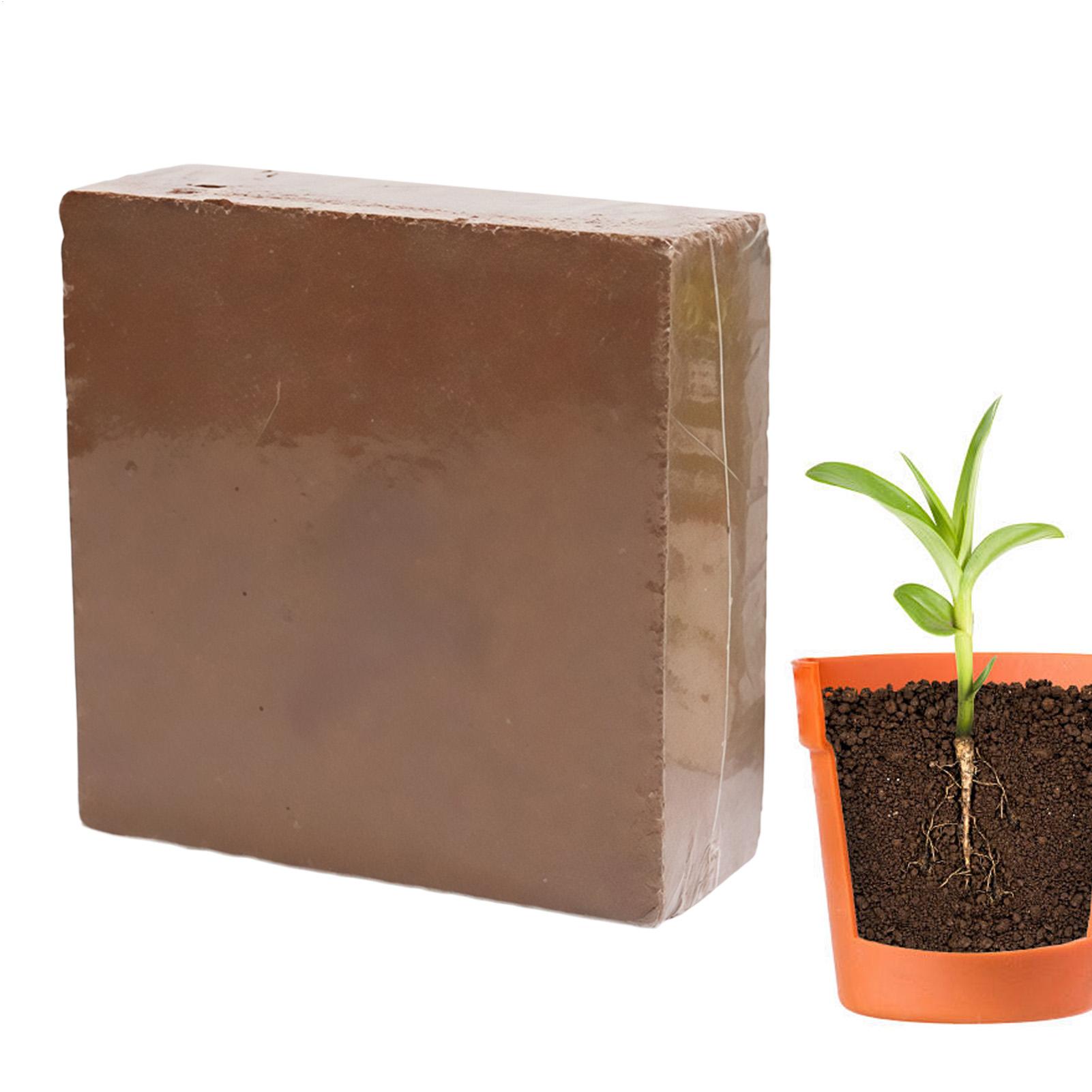 Brick Bonsai Soil 300g Natural - Coco Coir Block review and price