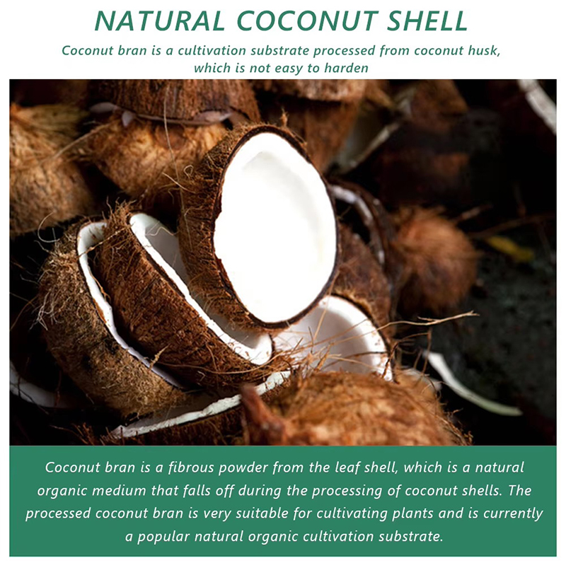 1/3/5pcs Organic Coconut Fiber - Coco Coir Block review and price