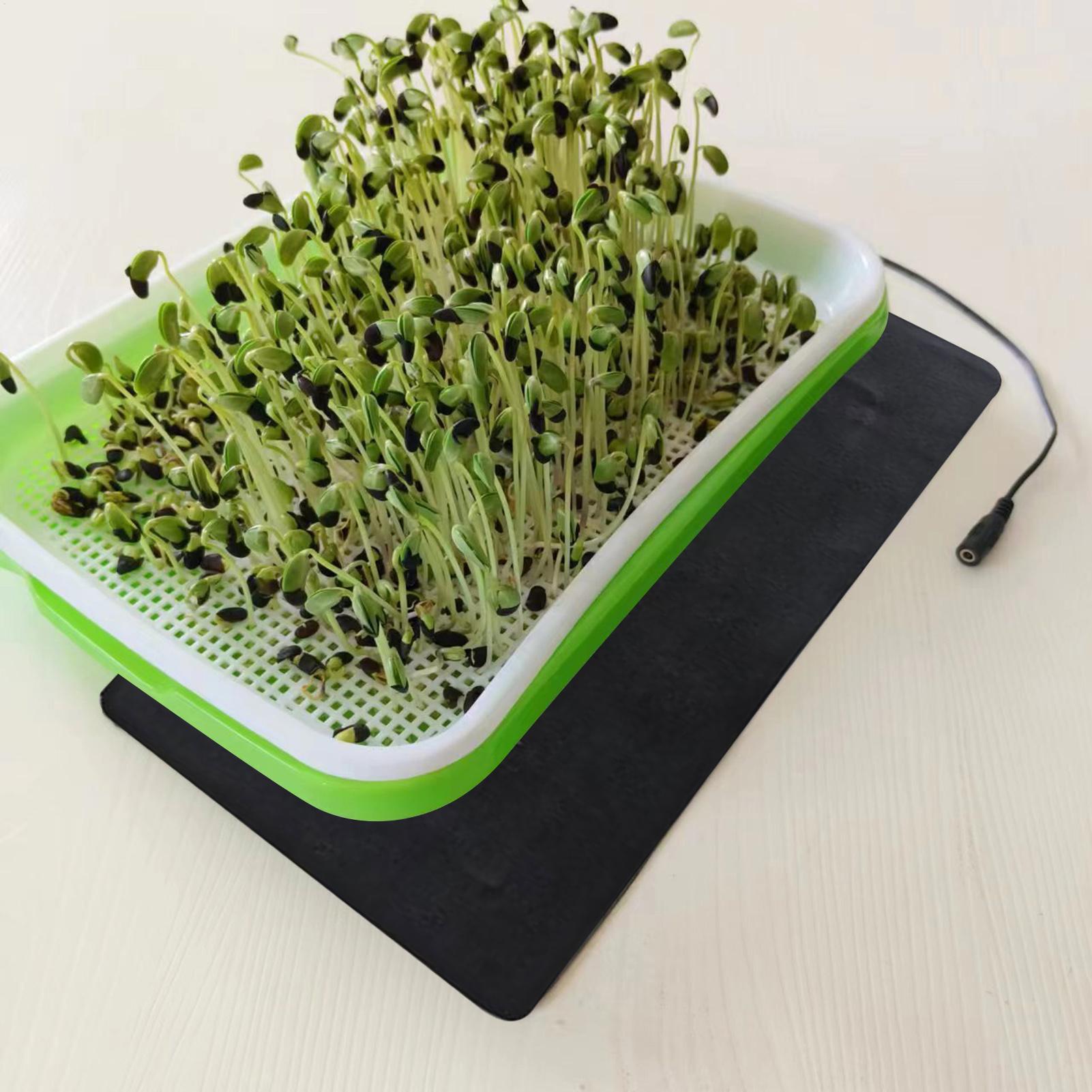 8.5W Seedling Heat Mat 5V 2A P - Seedling Heat Pad review and price